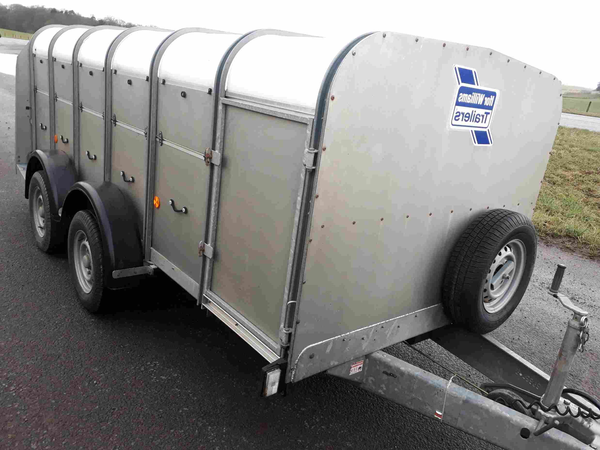 Ifor Williams Ta5 for sale in UK | 59 used Ifor Williams Ta5