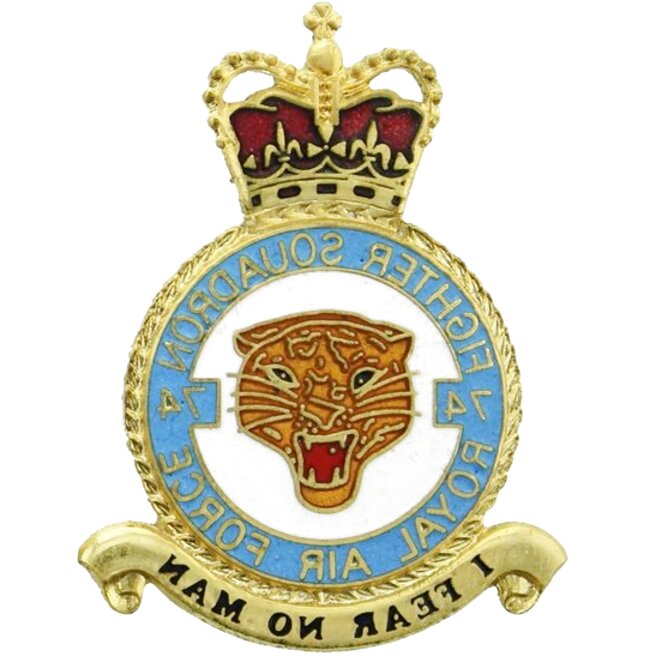 Raf Squadron Plaques For Sale In UK | 56 Used Raf Squadron Plaques