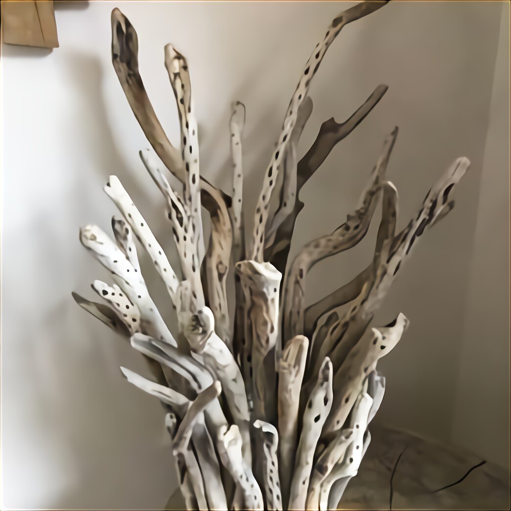 Driftwood Tree for sale in UK 57 used Driftwood Trees