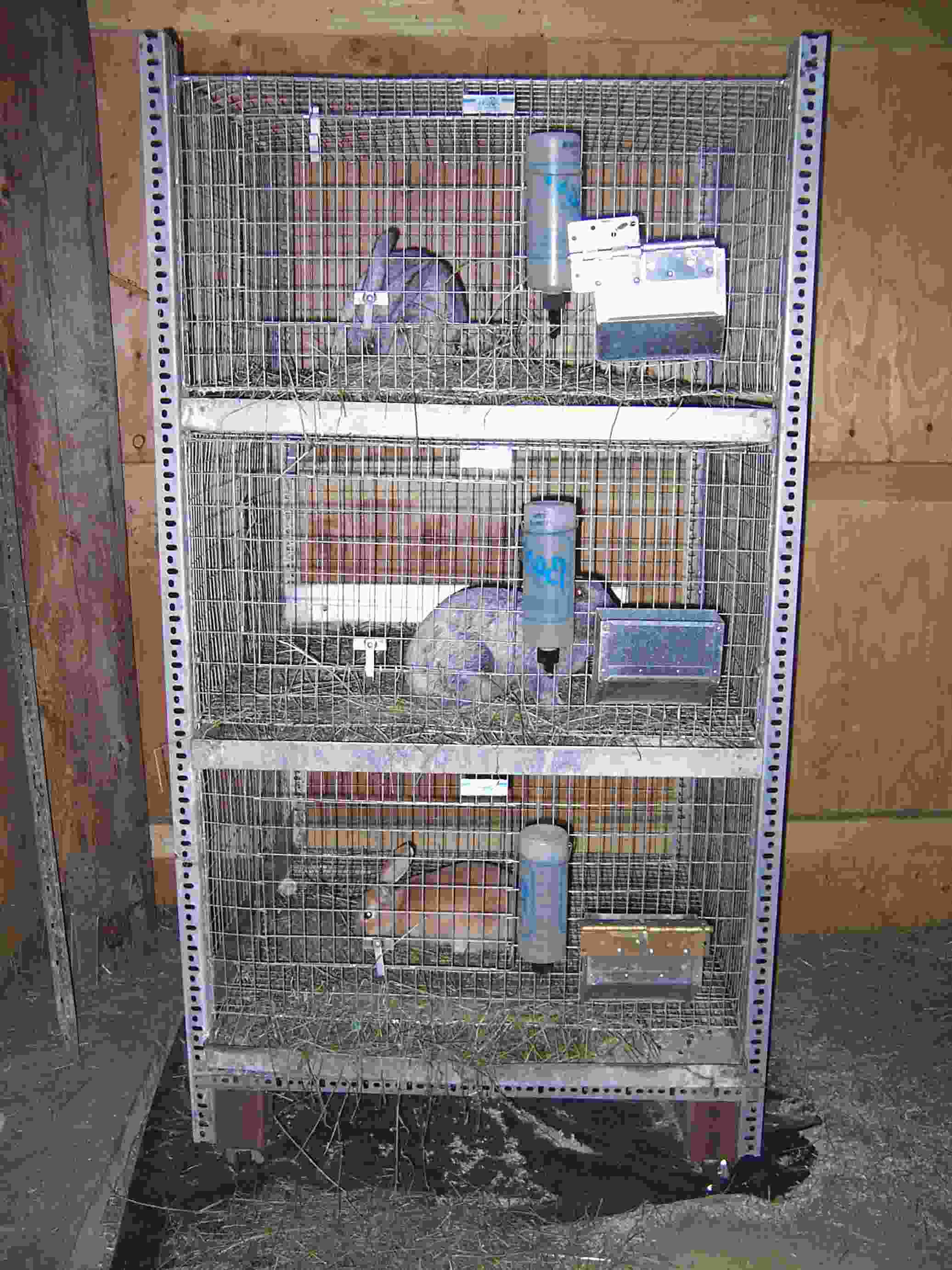 Metal Rabbit Cages for sale in UK | 28 used Metal Rabbit Cages