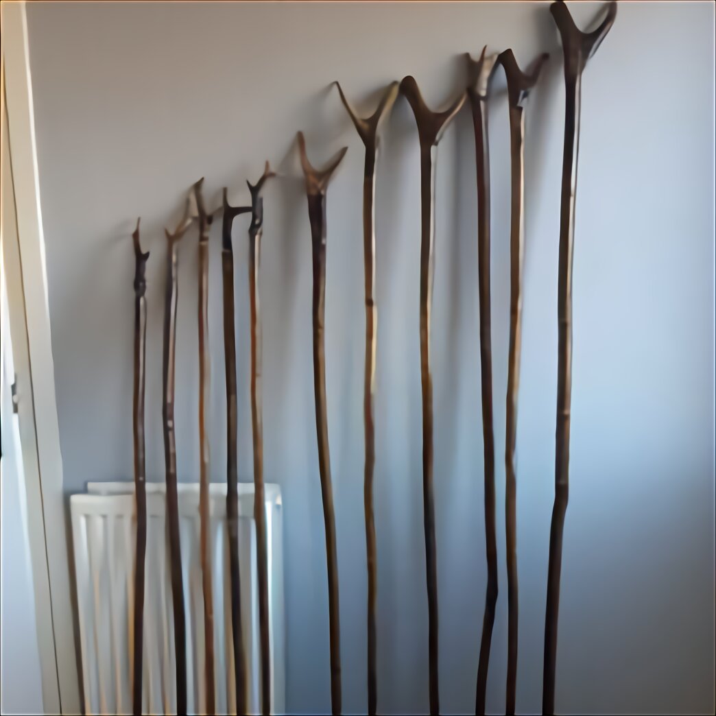 Unusual Walking Sticks for sale in UK | 76 used Unusual Walking Sticks