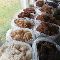 raw sheep wool for sale