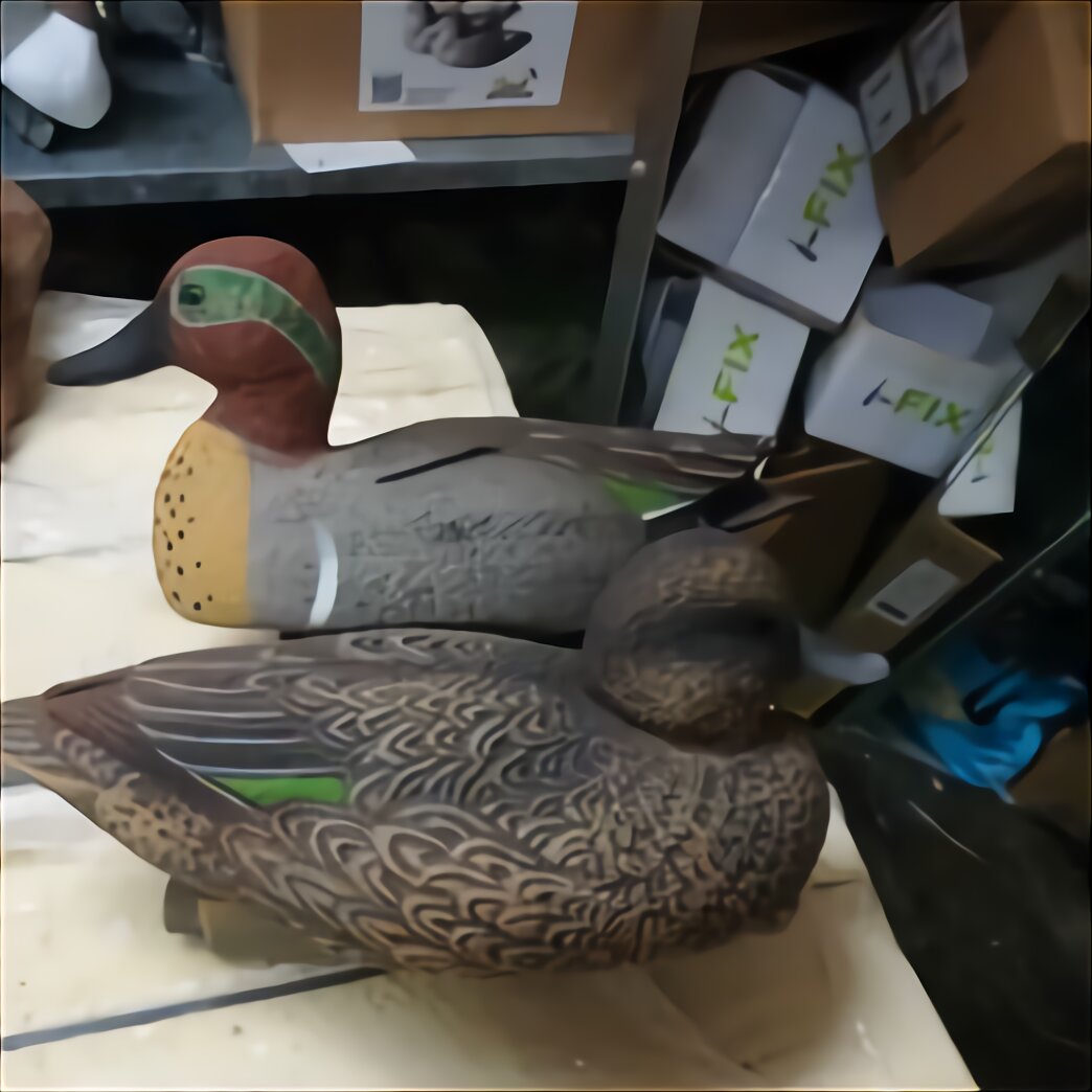 Pigeon Decoys For Sale In UK | 59 Used Pigeon Decoys