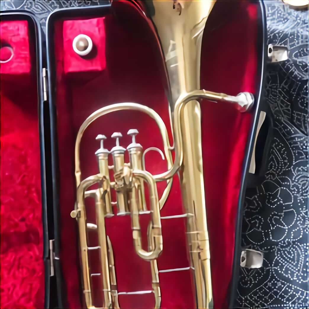 French Horn Case for sale in UK | 45 used French Horn Cases