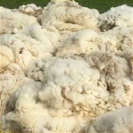 raw sheep wool for sale