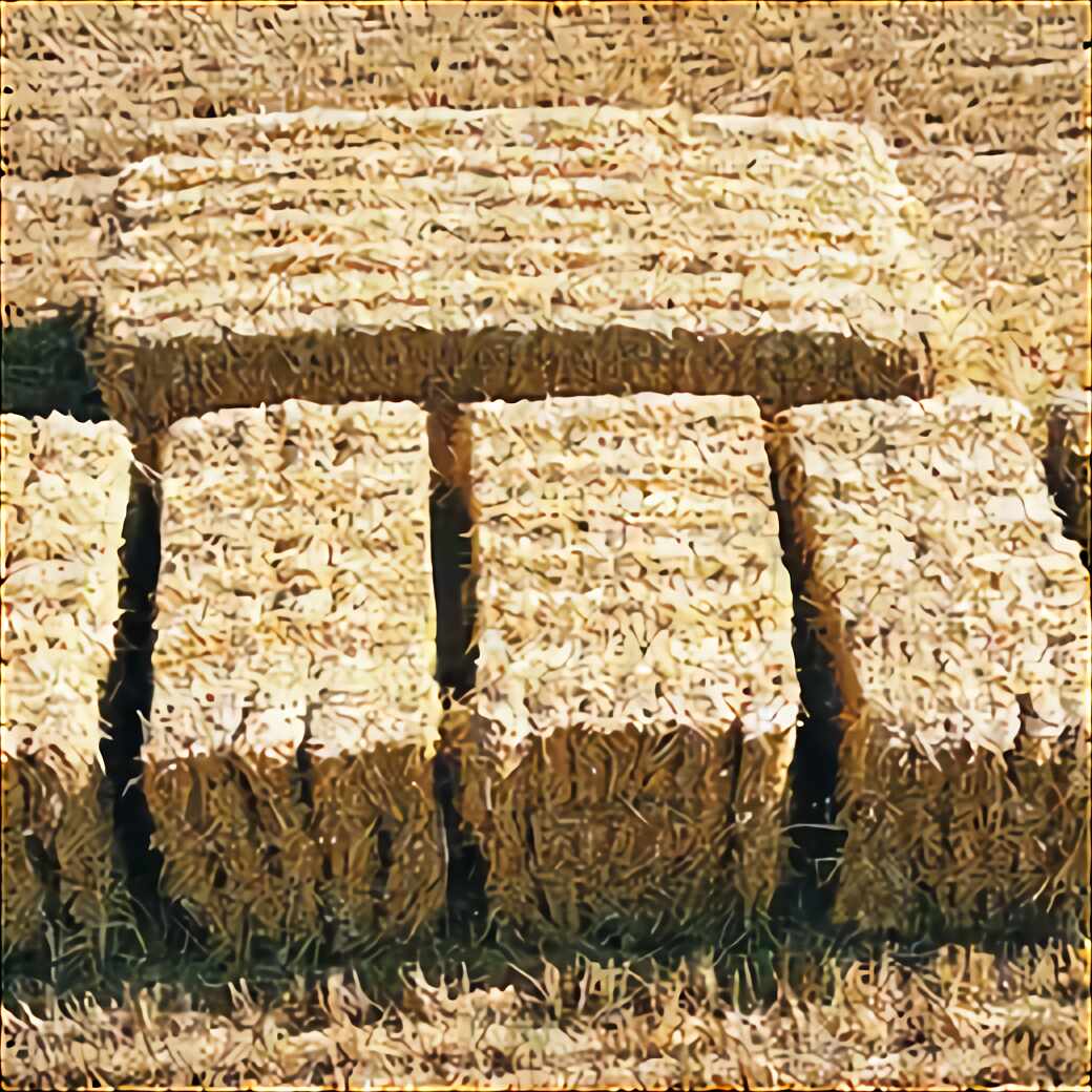 Barley Straw for sale in UK 39 used Barley Straws