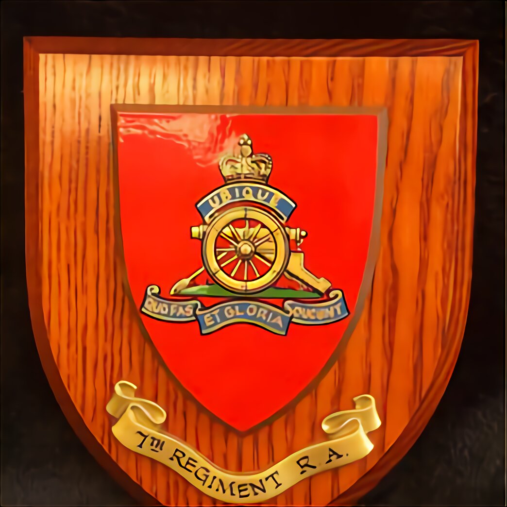 Raf Shield For Sale In Uk 