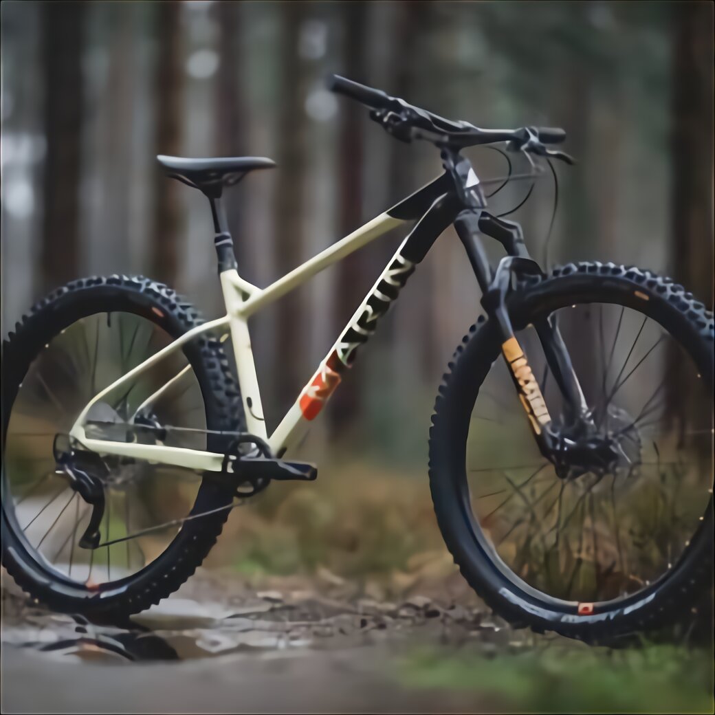 marin mtb 29