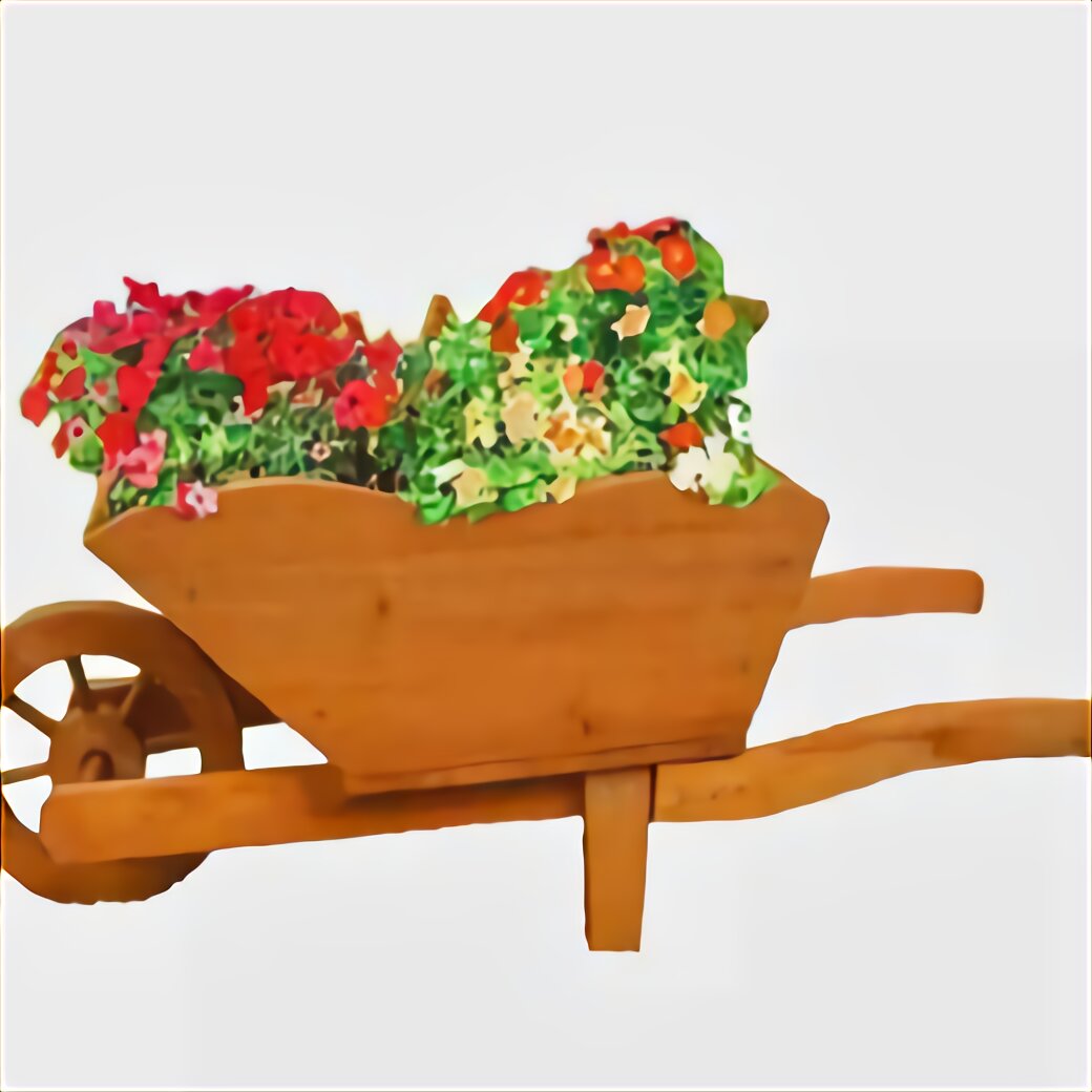 Wheelbarrow Planter for sale in UK | 81 used Wheelbarrow Planters