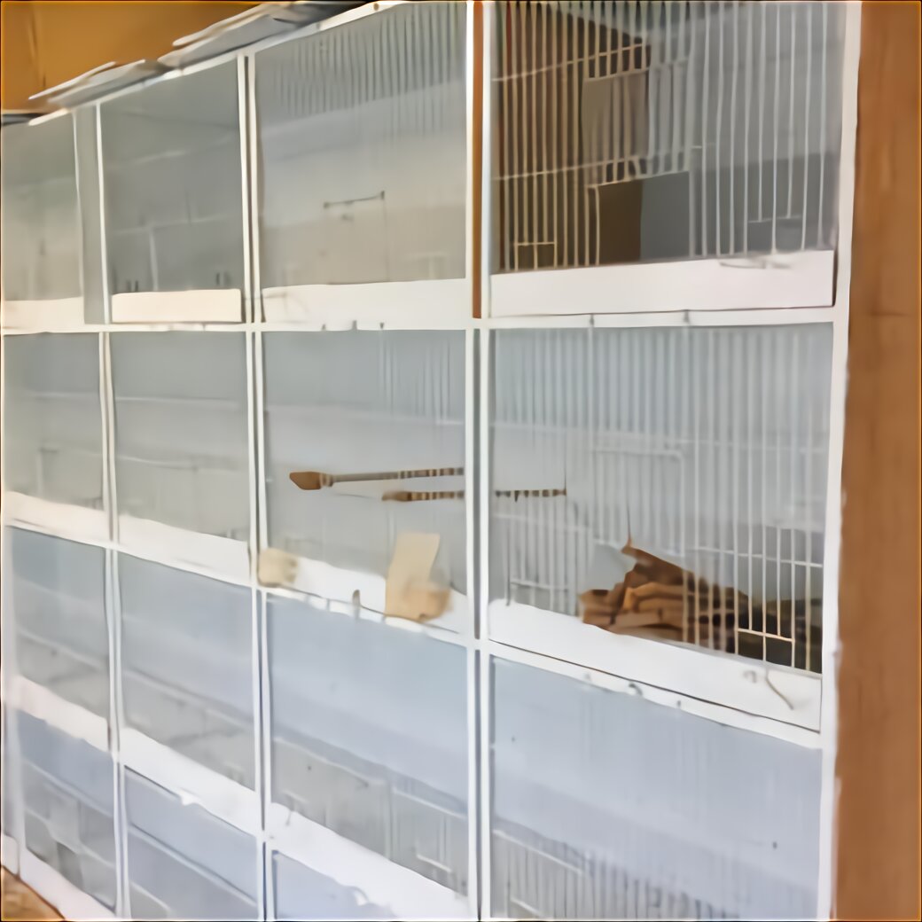 Finch Breeding Cages For Sale In UK | 76 Used Finch Breeding Cages