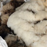 raw sheep wool for sale