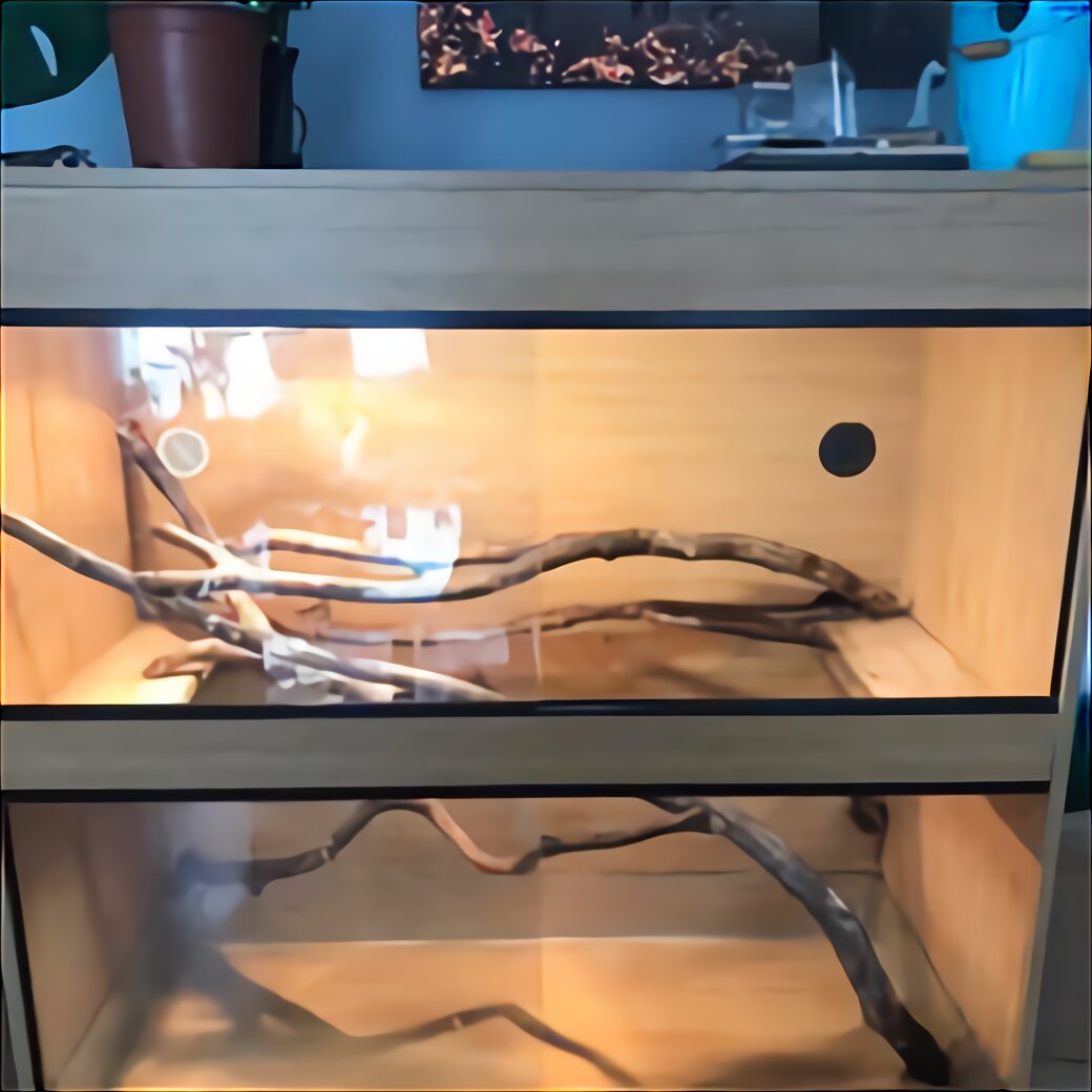 Arboreal Vivarium for sale in UK | 29 used Arboreal Vivariums