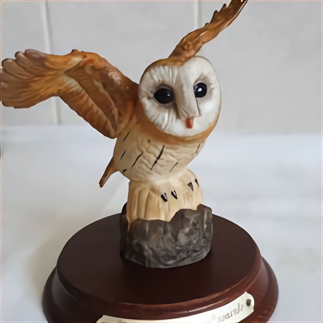 Taxidermy Barn Owl for sale in UK | 56 used Taxidermy Barn Owls