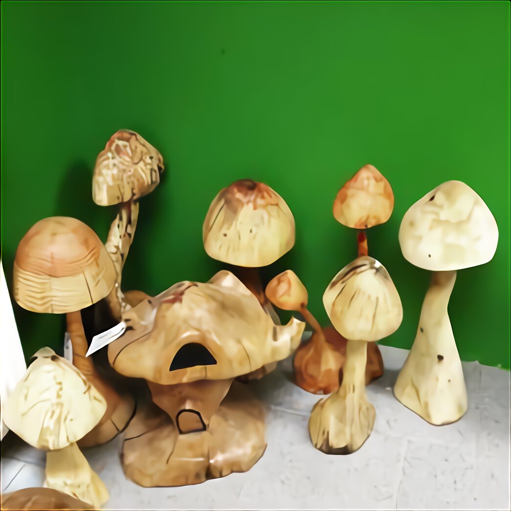 Wooden Garden Mushrooms for sale in UK | 56 used Wooden Garden Mushrooms