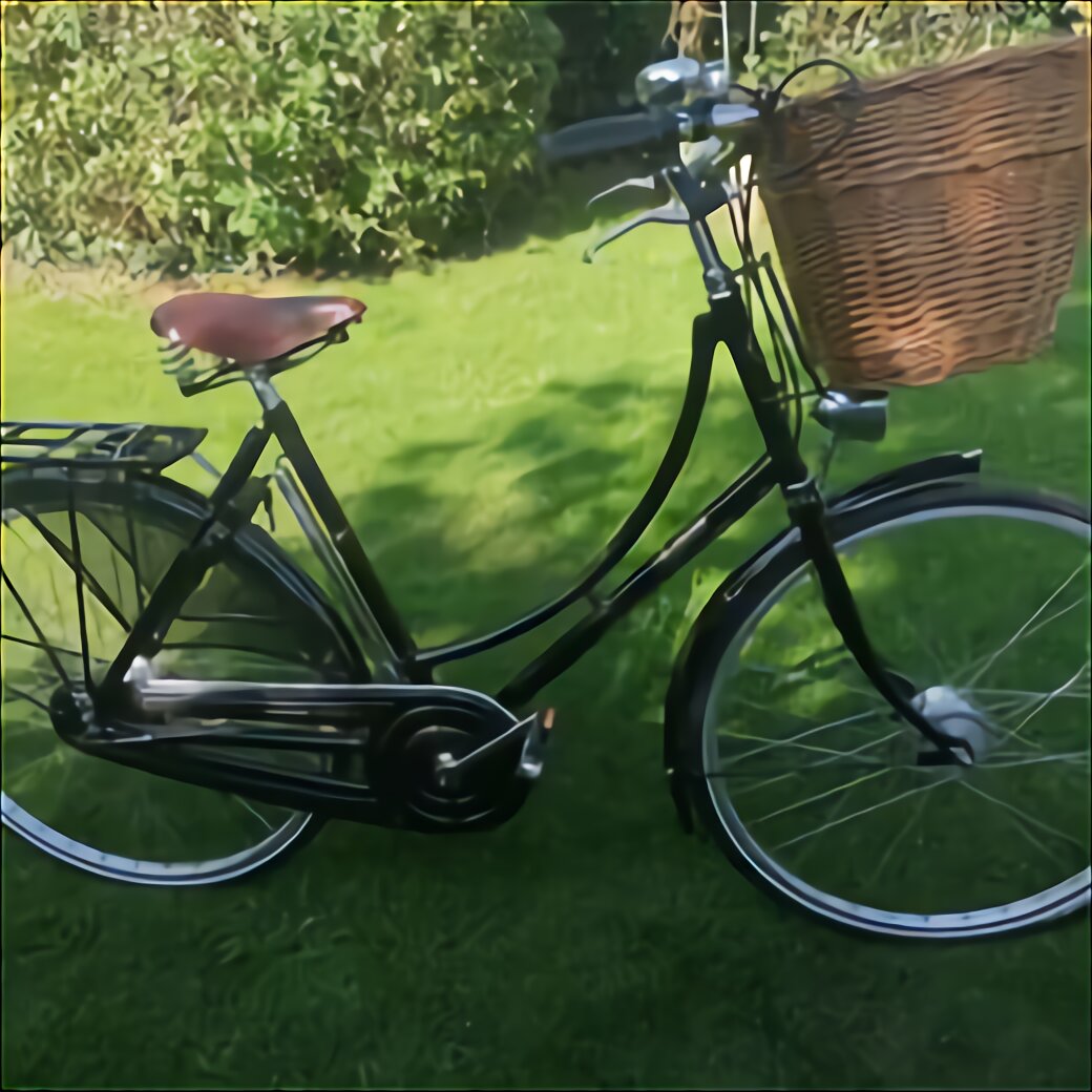 gumtree pashley