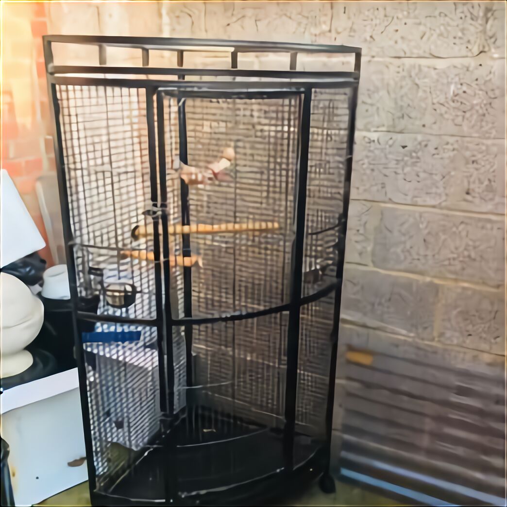 Cage Aviary Birds for sale in UK | 76 used Cage Aviary Birds