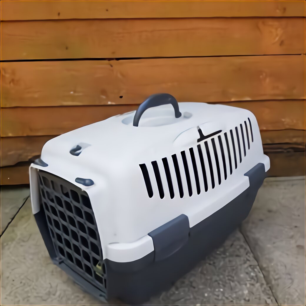 Dog Box for sale in UK 96 used Dog Boxs