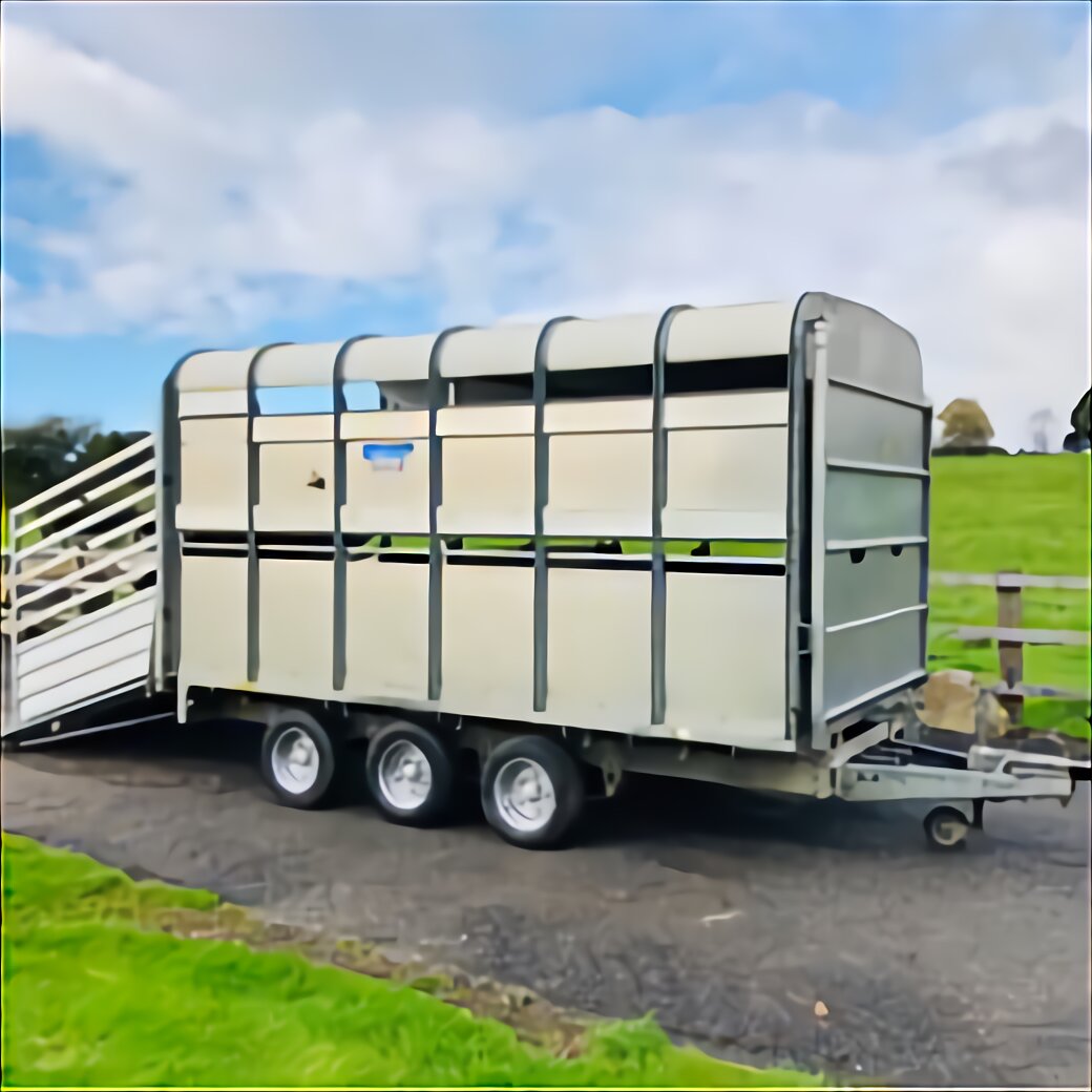 Livestock Truck for sale in UK | 21 used Livestock Trucks