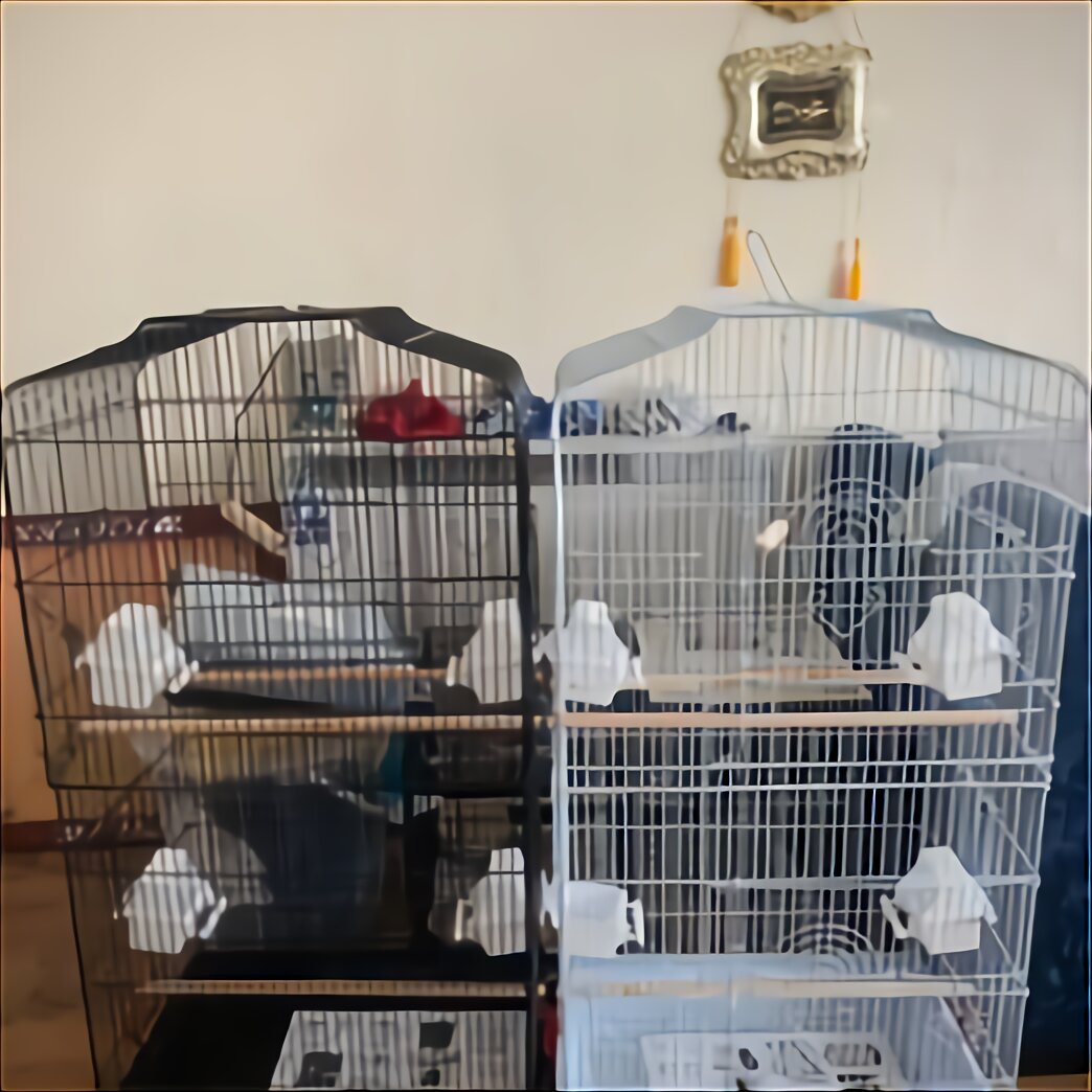 Finch Breeding Cages For Sale In UK | 31 Used Finch Breeding Cages