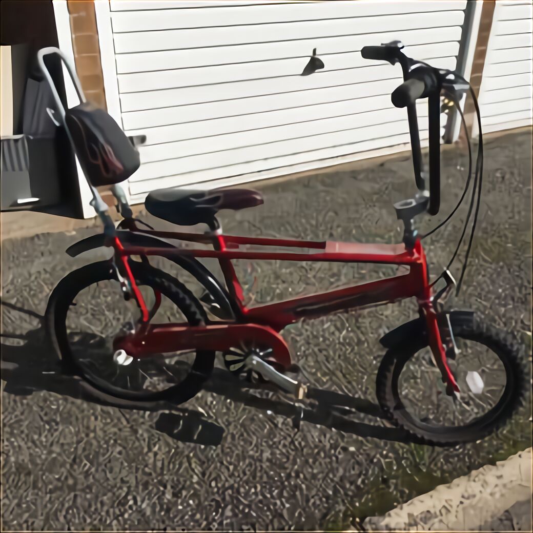 can adults ride a schwinn stingray