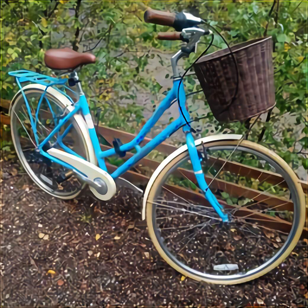 ladies traditional bike