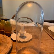 glass cloche for sale