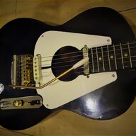 parlor guitar for sale