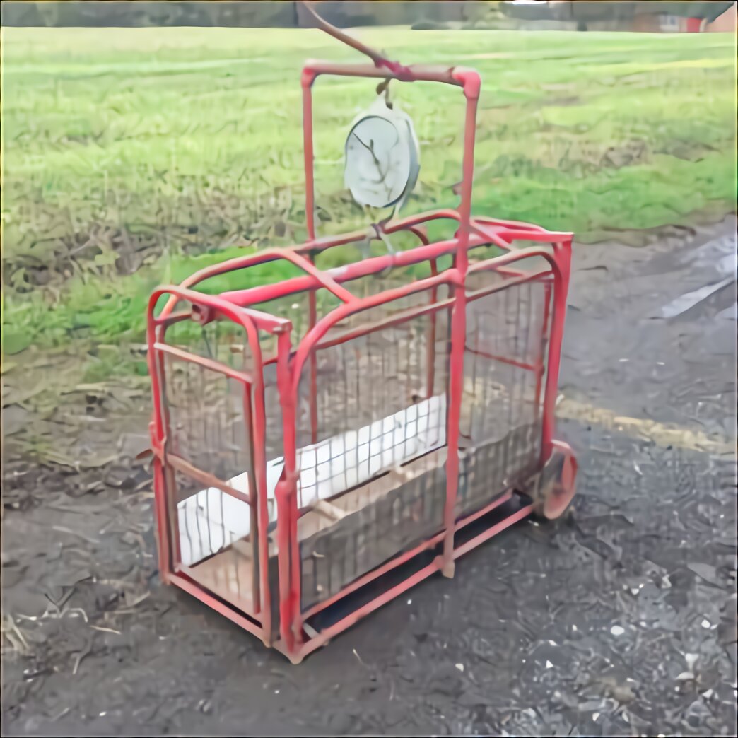 Sheep Lamb Scales for sale in UK | 34 used Sheep Lamb Scales