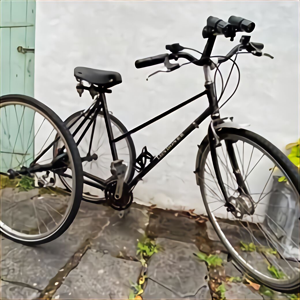 raleigh electric trike for sale