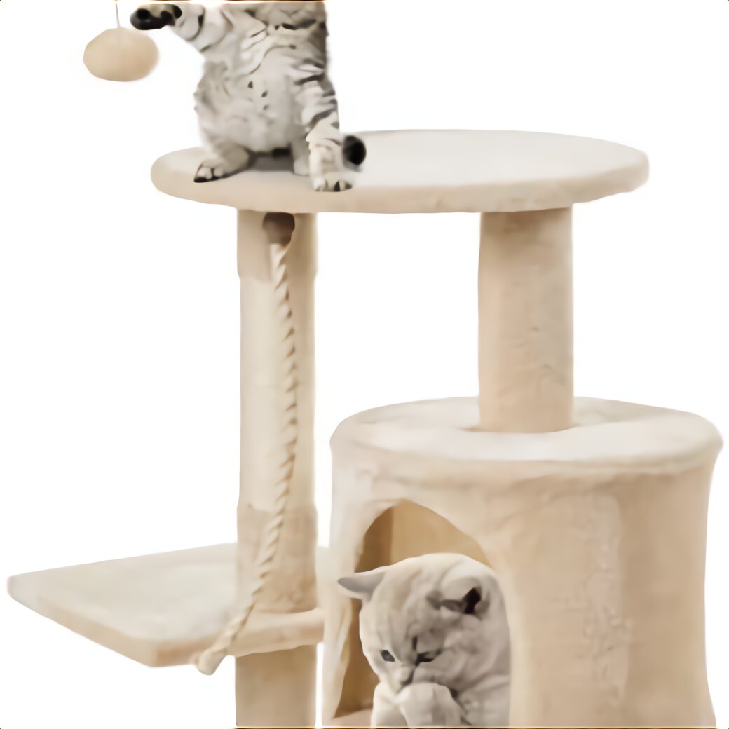 Cat Climbing Tower for sale in UK | 50 used Cat Climbing Towers