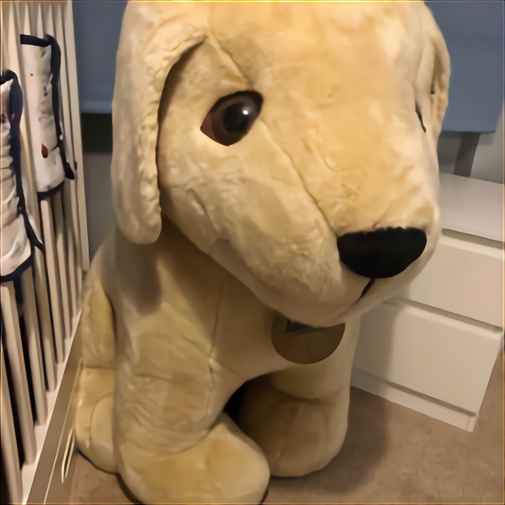 Andrex Dog for sale in UK | 61 used Andrex Dogs