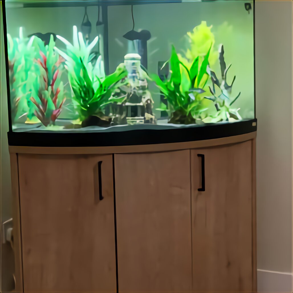 Big Fish Tanks for sale in UK | 62 used Big Fish Tanks