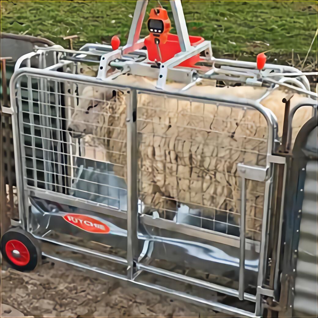 Used Sheep Equipment For Sale at Elizabeth Benson blog