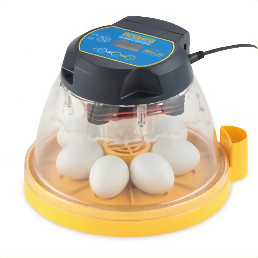 makeshift incubator for eggs