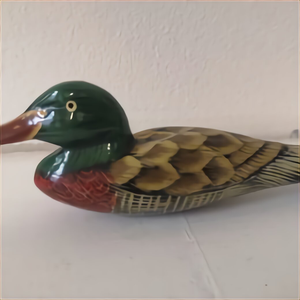 Pigeon Decoys For Sale In UK | 59 Used Pigeon Decoys