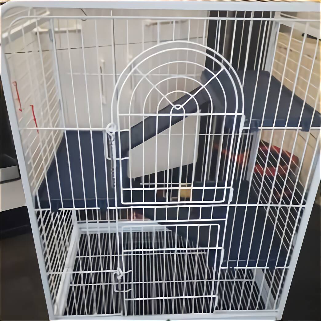 Bird Cages for sale in UK | 85 used Bird Cages