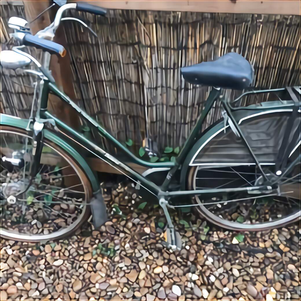 vintage schwinn bike for sale