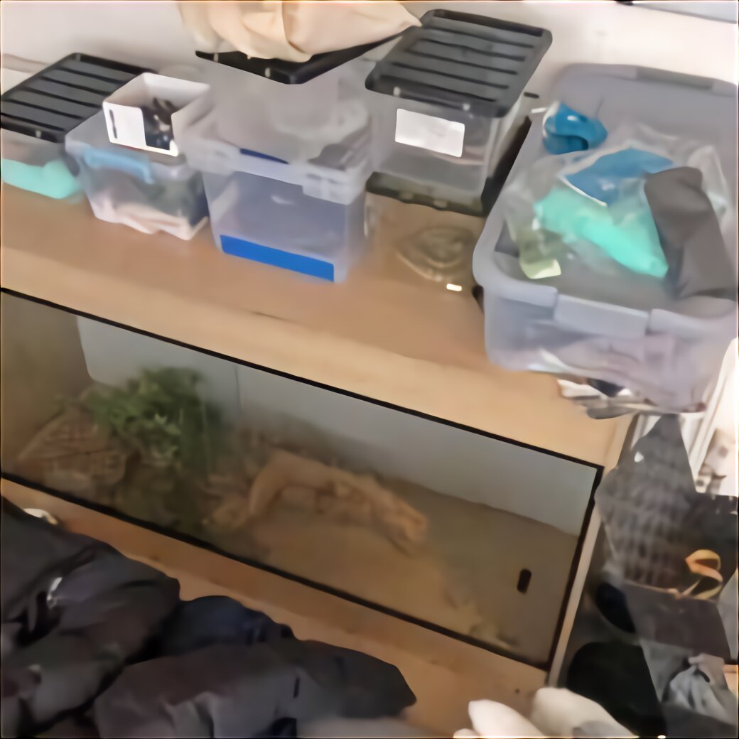 Tortoise Vivarium for sale in UK | 61 used Tortoise Vivariums