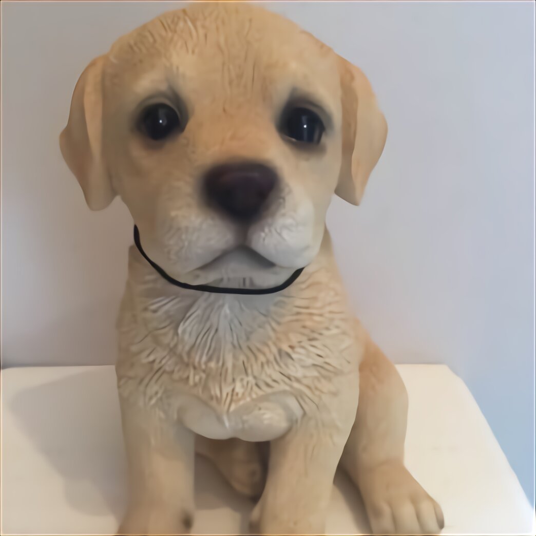 Nipper Dog for sale in UK | 62 used Nipper Dogs