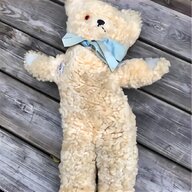 pedigree bear for sale