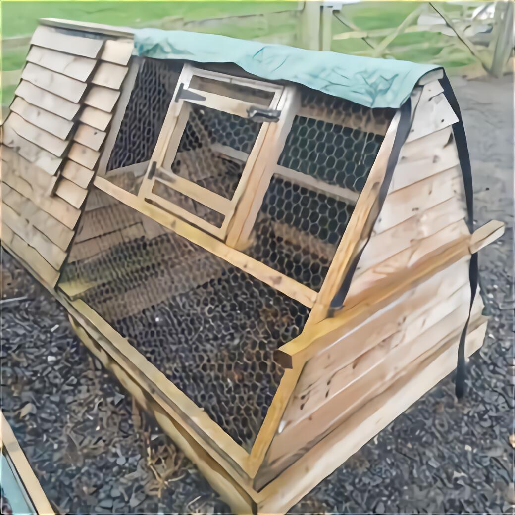 Chicken Shed for sale in UK | 72 used Chicken Sheds