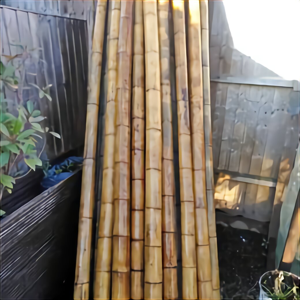 Price For Bamboo