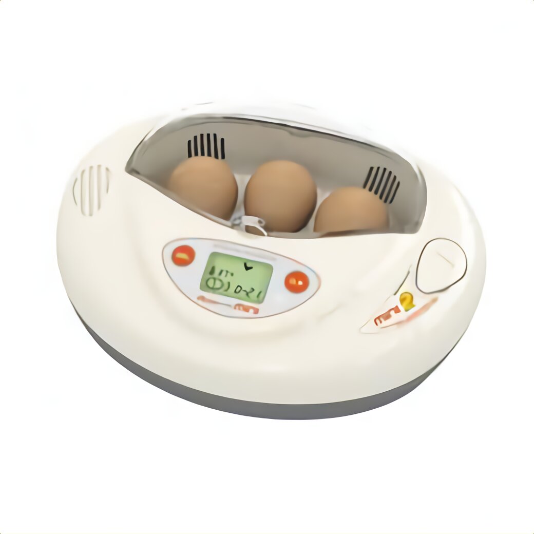 chicken incubator for sale