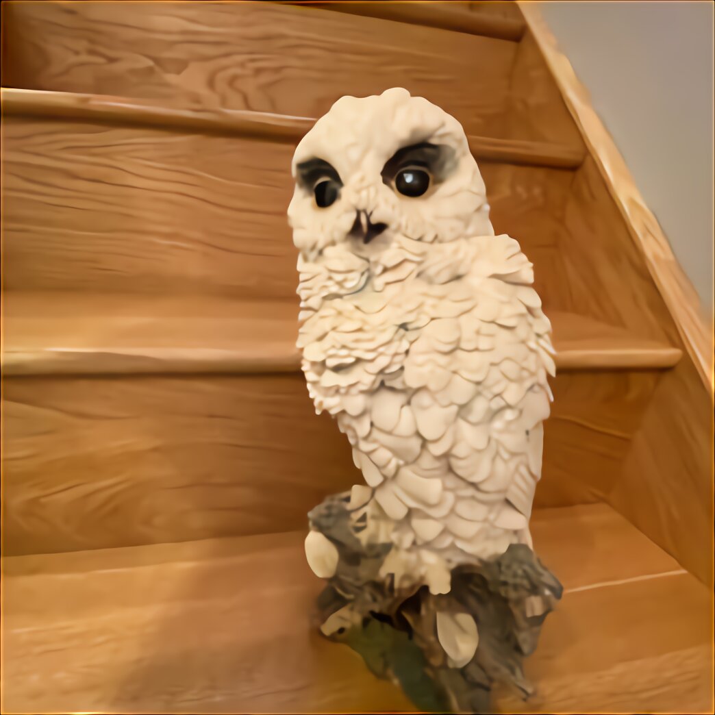 snowy-owl-for-sale-in-uk-74-used-snowy-owls