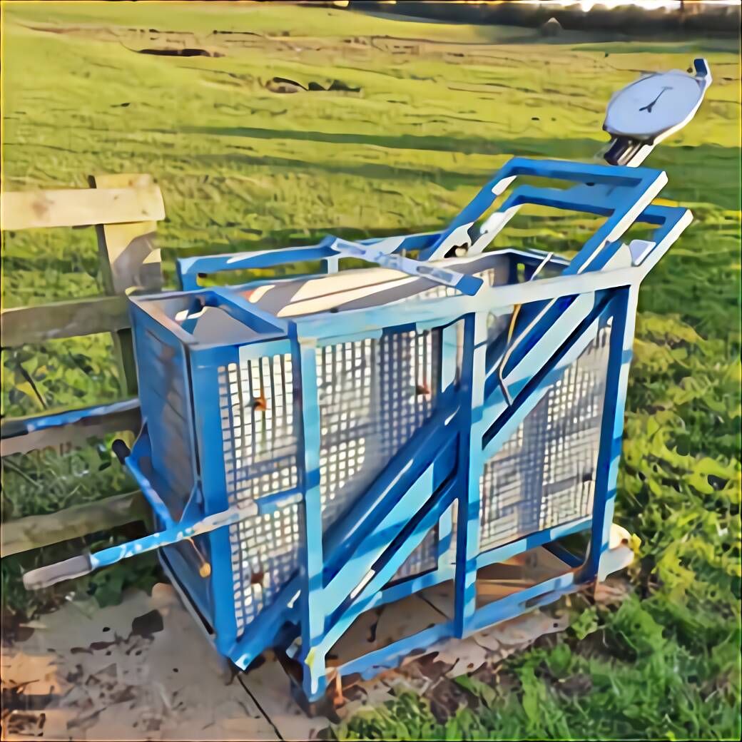 Sheep Weighing Scales for sale in UK | 25 used Sheep Weighing Scales