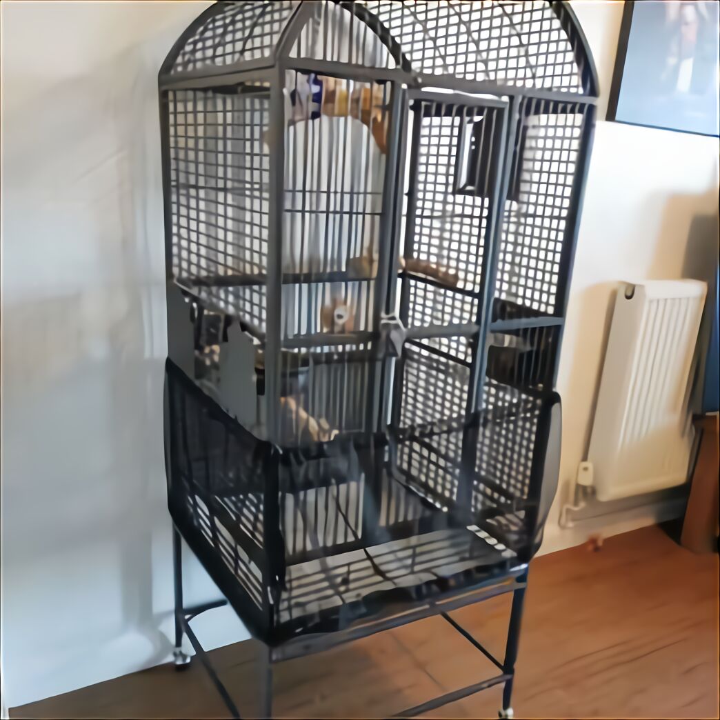 African Grey Bird Cages for sale in UK 41 used African Grey Bird Cages