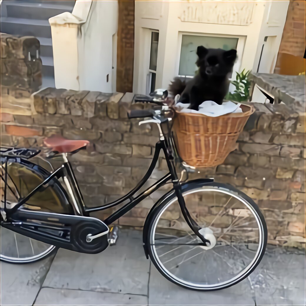 used pashley bikes for sale