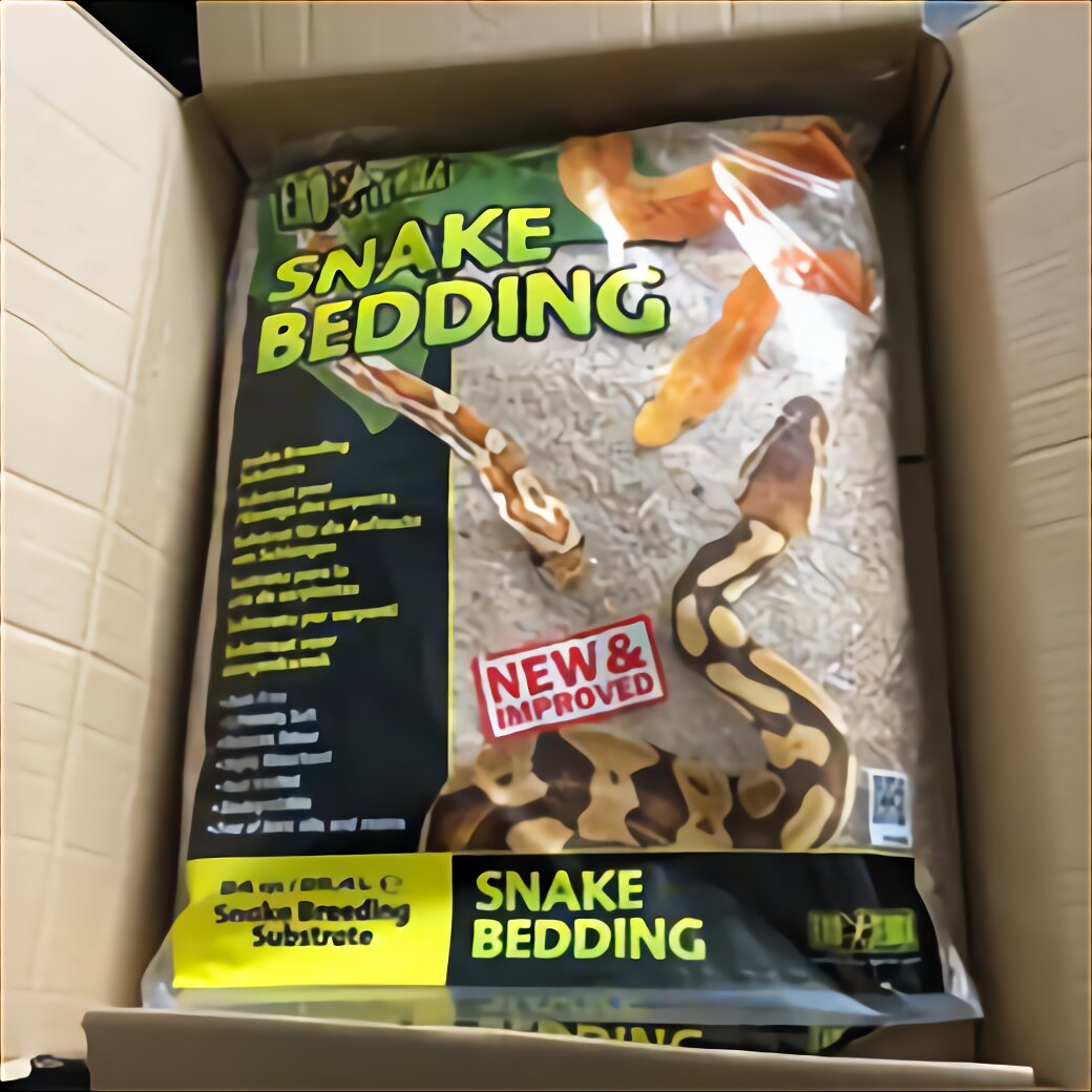 Pet Snakes For Sale In UK | 92 Used Pet Snakes