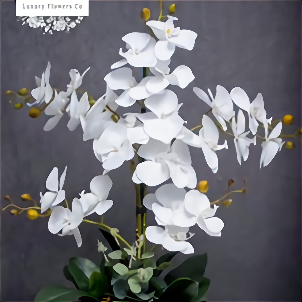 Artificial Orchids for sale in UK | 69 used Artificial Orchids