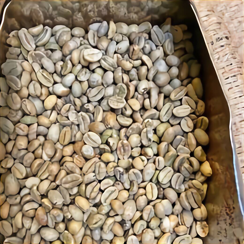 Green coffee beans for sale